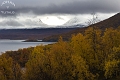 Lapporten