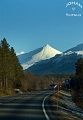 berg1
