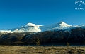 berg2