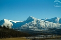 berg3